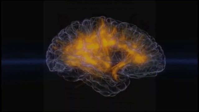 Обзор лимфатической системы. Иммунитет. Лекции для школьников и медсестер #леканатомия #биологияегэ