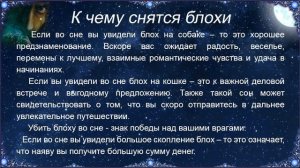 К чему снятся Блохи – толкование сна по Соннику