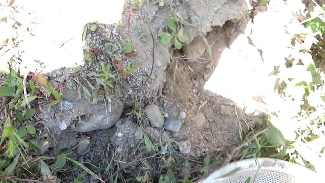 КАК НА САМОМ ДЕЛЕ ЭТИ ВЕЩИ НАХОДЯТ?! смотреть онлайн