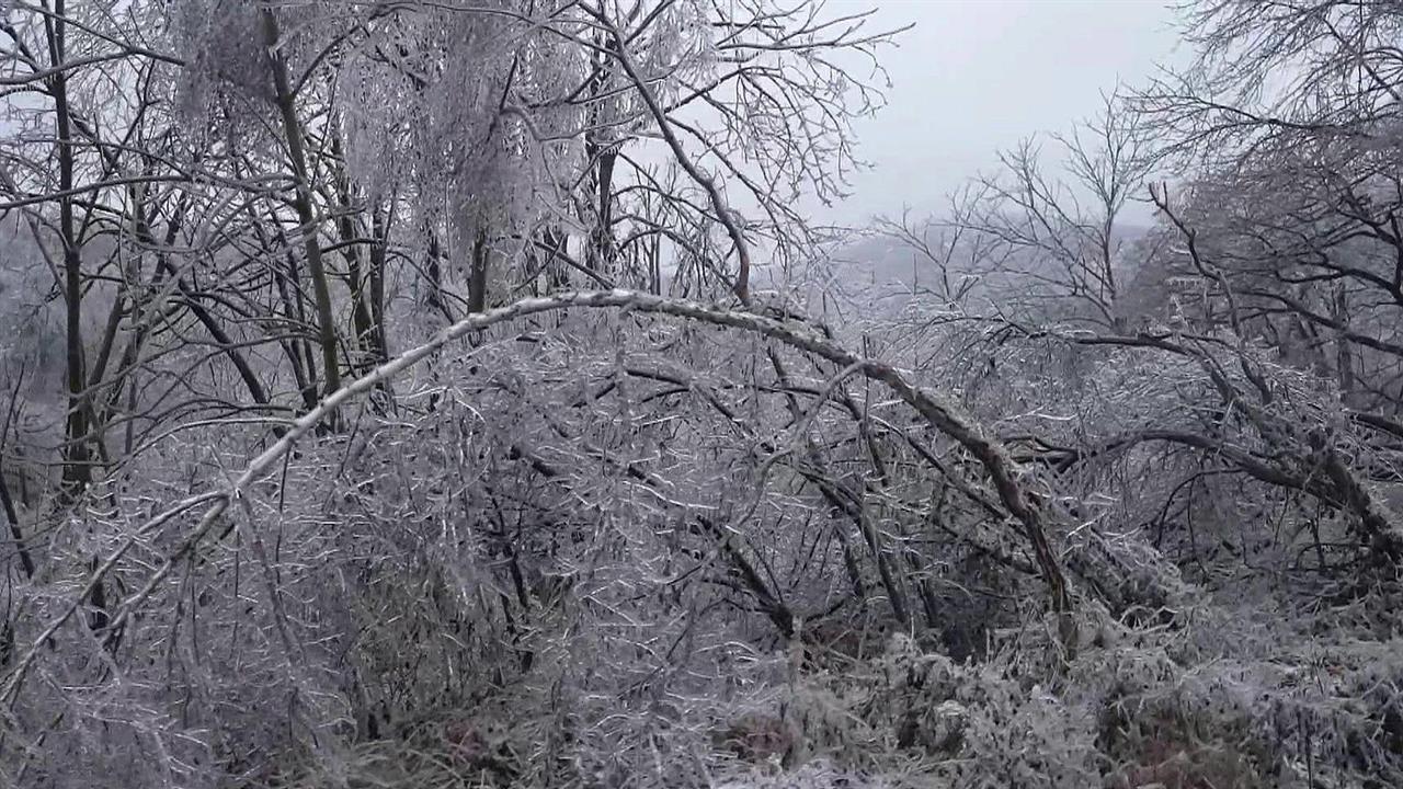 Прим видео. Ледяной дождь в Приморье. Циклон в Приморском крае на июнь 2022. Стальная ветка Приморье. Метель видел.