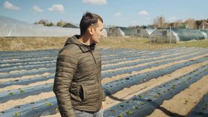 Начинаем посадку клубники. Приехал агроном из Краснодара.