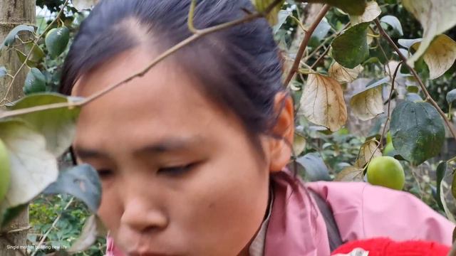 Single mother: harvesting apples to sell at the market - taking care of the vegetable garden смотреть онлайн