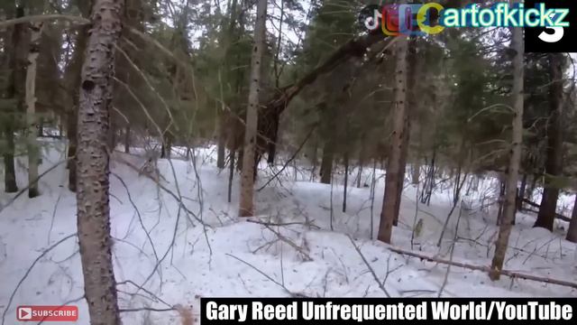 5 Scary Videos You WON'T Finish! Im Not Stupid смотреть онлайн