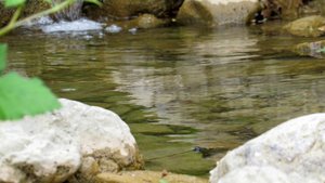 Река Шелен в конце мая. А сейчас и этой воды уже нет.