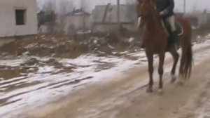 Как останавливать лошадь