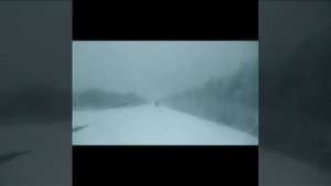 Снег снежок не радует