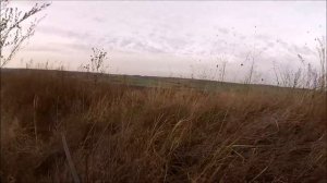 Охота на зайца. Краснодарский край. Декабрь 2017 года.