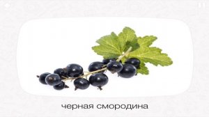 Карточки Домана Фрукты Ягоды Развивающее видео для детей