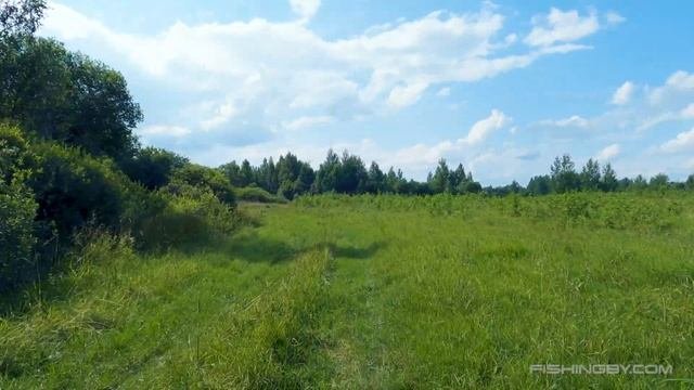 Озеро Черное Болото (Шумилинский район)