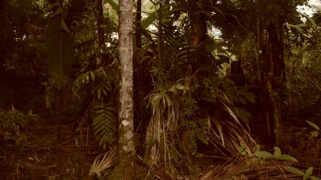 Europa: Neue Leichtigkeit - Afrika Baby смотреть онлайн