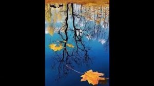 Linkin Park-а чай сухой Linkin Park