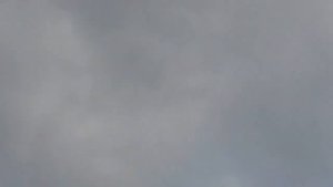 Упрощенные голуби бабочки и их преимущества. ДОЛГИЙ и без кружный полет голубей.