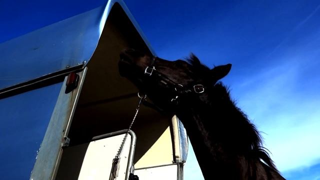 The power of love смотреть онлайн