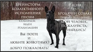 Анонс коллективного исполнения "Песни о бродячей собаке или мой человек, пожалуйста, найдись!"