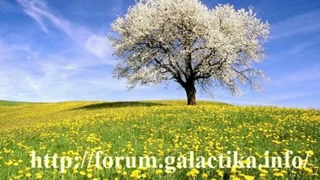Эзотерический прогноз на неделю  с 28.05.2010 по 03.06.2010