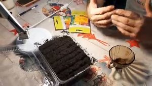 ПОСЕЙТЕ ВИОЛУ ТАК (Анютины Глазки) 100% ВСХОЖЕСТЬ из семян или как вырастить.mp4