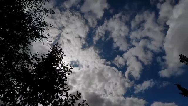 КАКИЕ КАЧЕСТВА В МУЖЧИНЕ ПОСЛЕ 30, НУЖНЫ ЖЕНЩИНАМ, ДЛЯ ПОСТРОЕНИЯ СЕРЬЕЗНЫХ ОТНОШЕНИЙ? смотреть онлайн