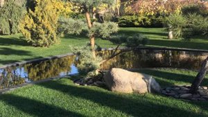 РЕЛЬЕФ И ГЕОПЛАСТИКА / МОДНЫЕ ТЕЧЕНИЯ / geoplastics in the garden ?