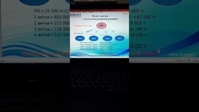 Полный МАРКЕТИНГ ПЛАН компании BIOSEA смотреть онлайн
