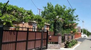 Рожок. Ростовская область, Неклиновский район. Таганрогский залив, Азовское море.