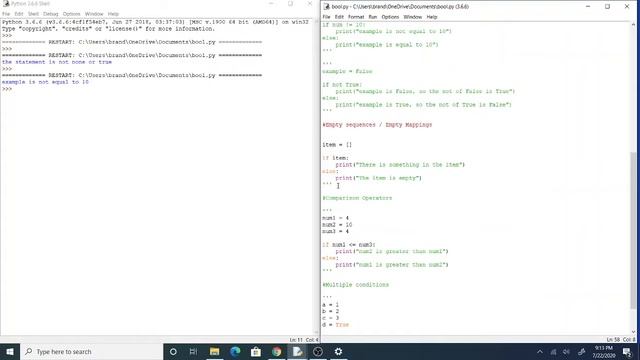 Boolean and Conditional Statements смотреть онлайн