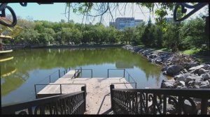 Прогулки по Хабаровску. Пруды😎  Walking in Khabarovsk. Ponds.