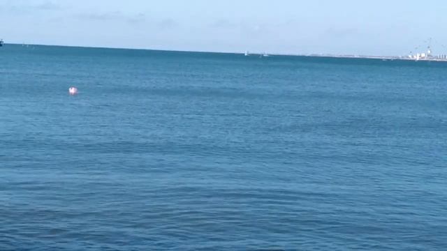Прилетели бакланы в Анапу и ловят рыбку. Море, море, мир бездонный....