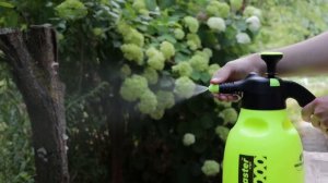 MAROLEX Master ergo – опрыскиватель, за который платят дважды (обзор)