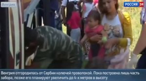 Мигранты вносят смуту в Европе