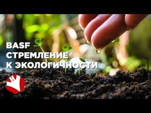 BASF | Cтремление к экологичности | Защита растений