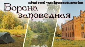 Ворона заповедная. Водный поход через заповедник «Воронинский». Лето 2024.