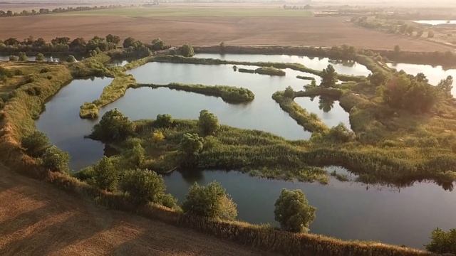 Белореченск/озеро рыбалка в Школьном