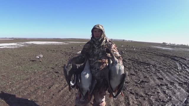Охота на гуся весной,отличная утрянка,красивые налёты 2022 г. смотреть онлайн