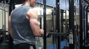 ZTPHYSIQUE | SKIN SPLITTING ARM PUMP | 10x10 BICEPS AND TRICEPS ROUTINE | FULL DAY OF EATING