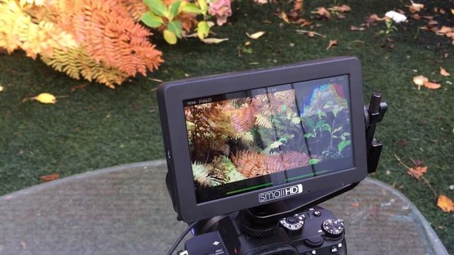 quick and lazy compare sony a7r iii screen compared to smallhd focus. смотреть онлайн