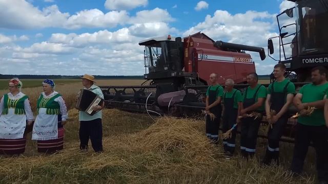 Зажинки в КСУП "Ельск". Уборка урожая 2020 смотреть онлайн