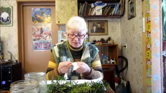 Укоренение черенков туи зимой.Размножение хвойных пород.