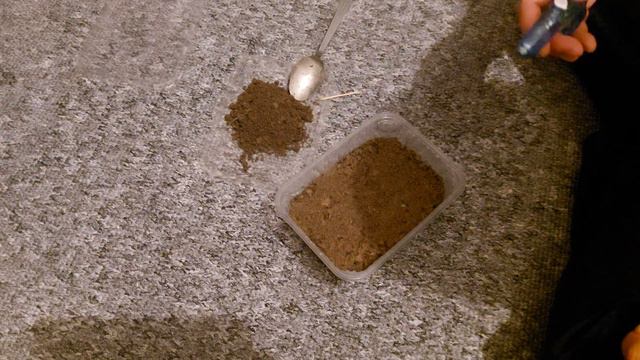 Гул остуруу уй шартында Сальвия уругу смотреть онлайн