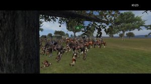 Goblins at the Gates: Third Age Total War (DaC v5) Northern Dunedain #13