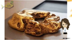 Огромный золотой самородок! В небольшой речке найден самый огромный золотой самородок!