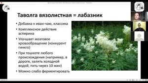 Виртуальная фитоэкскурсия Ольги Дзюбан. Дикая лекция