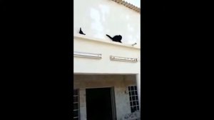 жизнь впереди фильм 2017