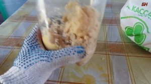 разведение опарыша из яйца, быстро просто, результативно