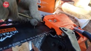 Как собрать бензопилу правильно. Видеообзор бензопилы SKIPER GS4500B