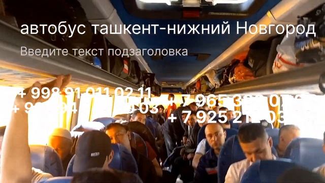 автобус ташкент-нижний Новгород# Нижний# Новгород#ташкент #aвтобус
