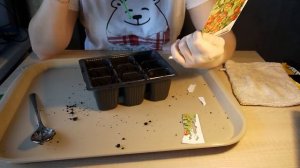 Посадка балконных перцев чили и томата