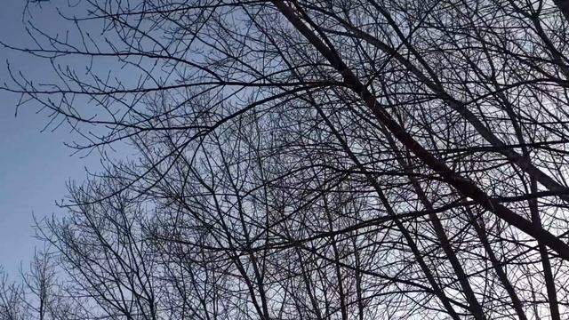 13 мая народный праздник Яков Теплый. Народные традиции и приметы. Запреты дня.
