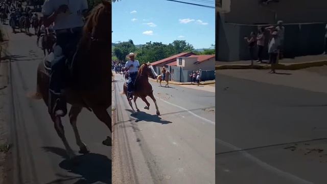 CASO VOCÊ NÃO TENHA VISTO A CAVALGADA  🐎