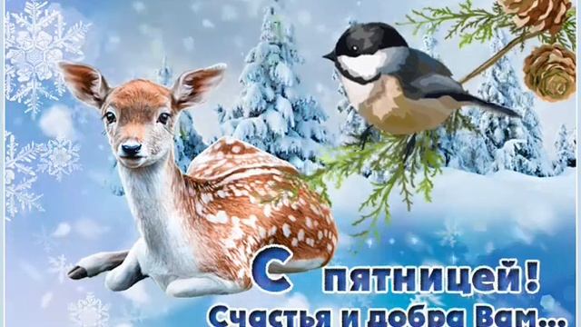 18 февраля 2022 г.