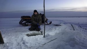 Проверка перемета. Есть качество, но нет количества